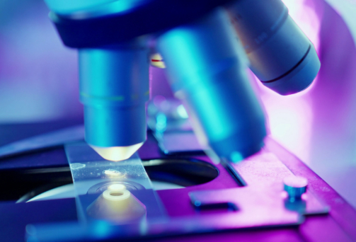 Stem Cell Microscope