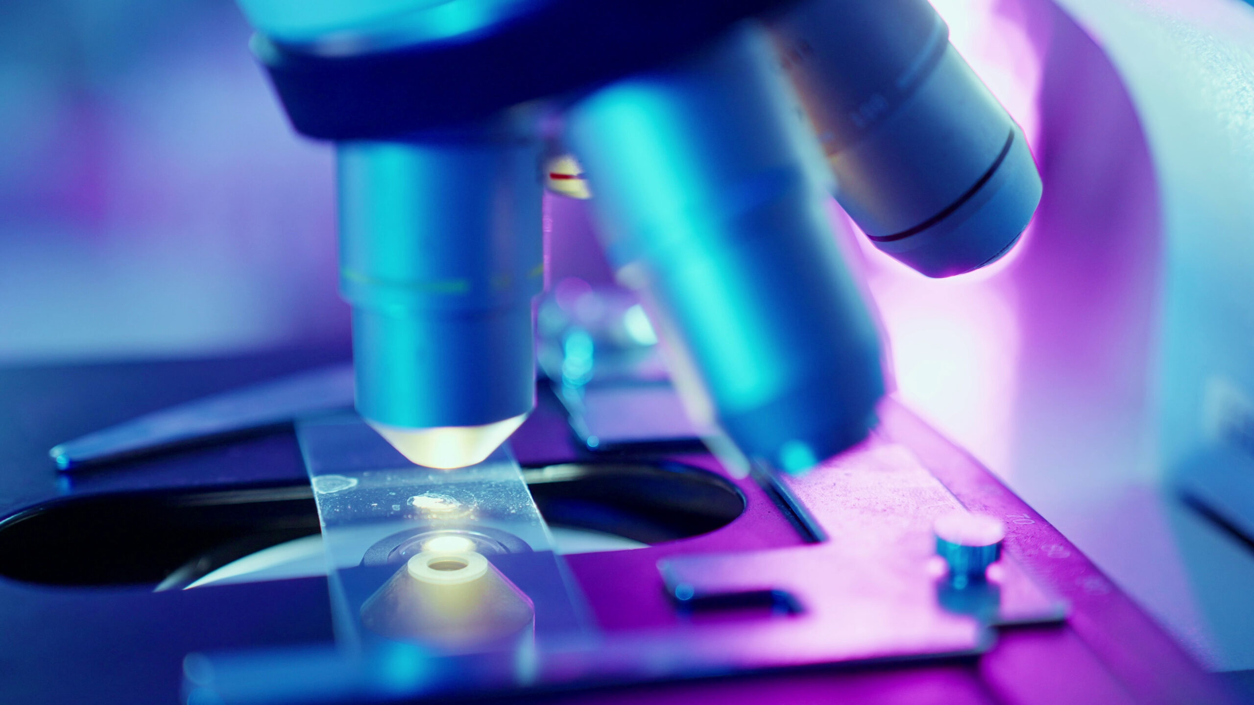 Stem Cell Microscope