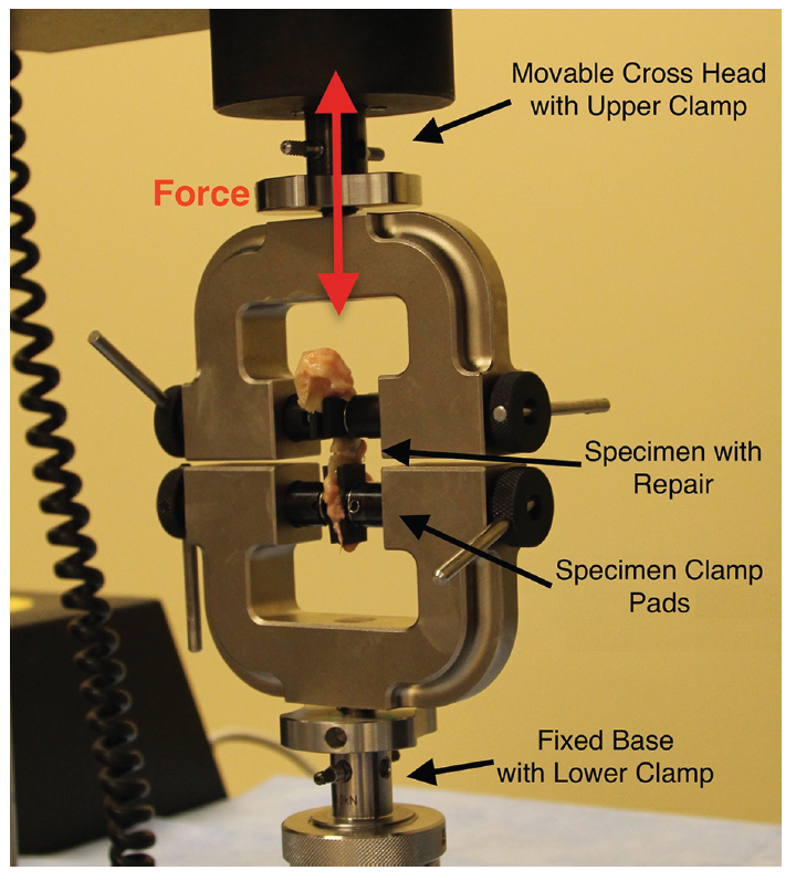 Uniaxial testing construct.